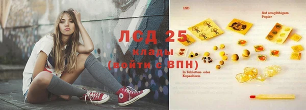 шишки Михайлов