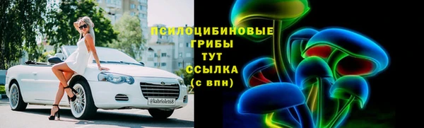 шишки Михайлов