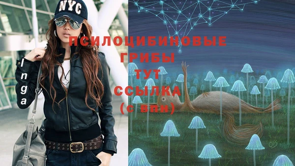 хмурый Михайловск