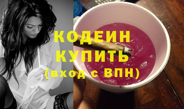 индика Новочеркасск