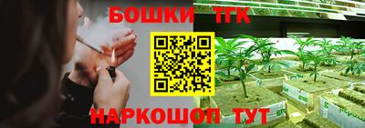 индика Волгодонск