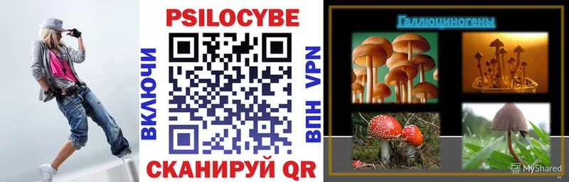 Галлюциногенные грибы Psilocybe  Елец 