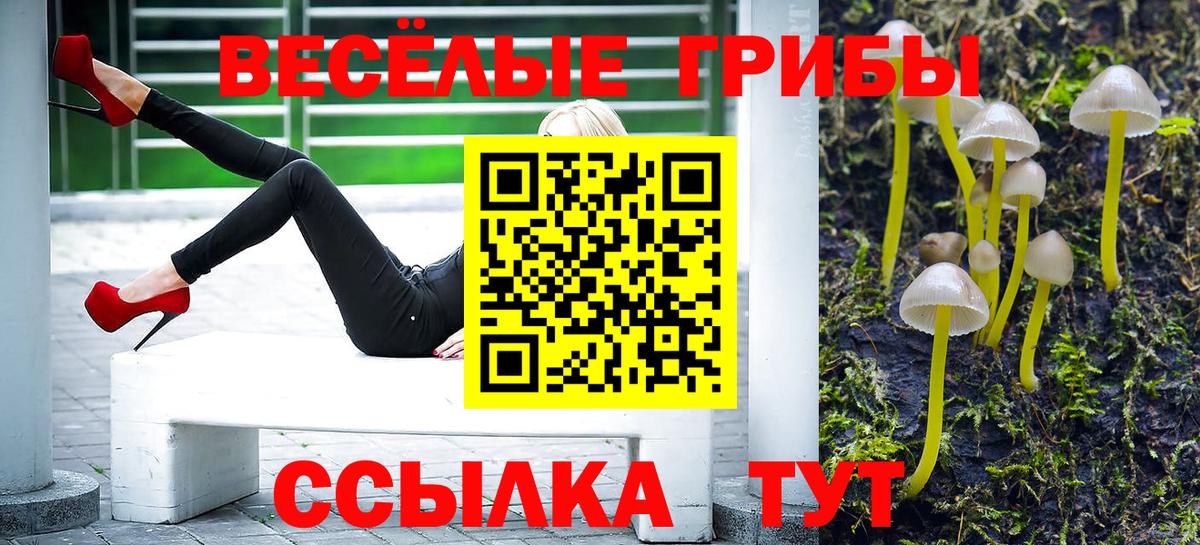 Псилоцибиновые грибы Psilocybine cubensis Елец